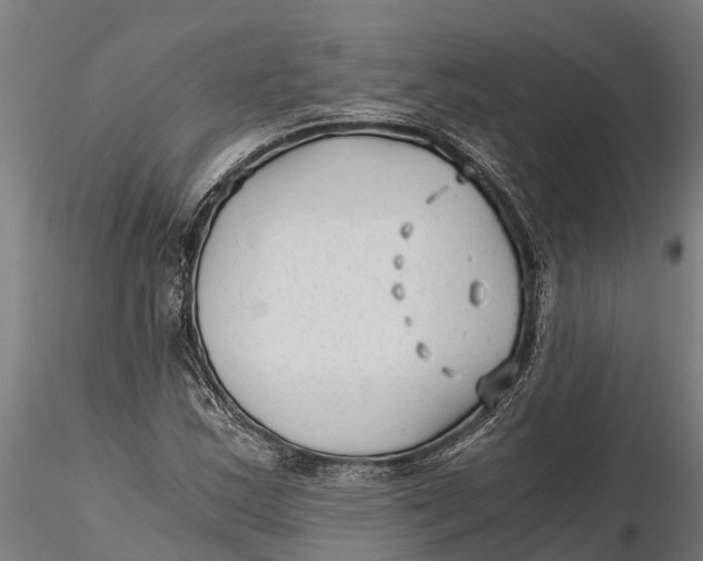 X0000115681163200912031413