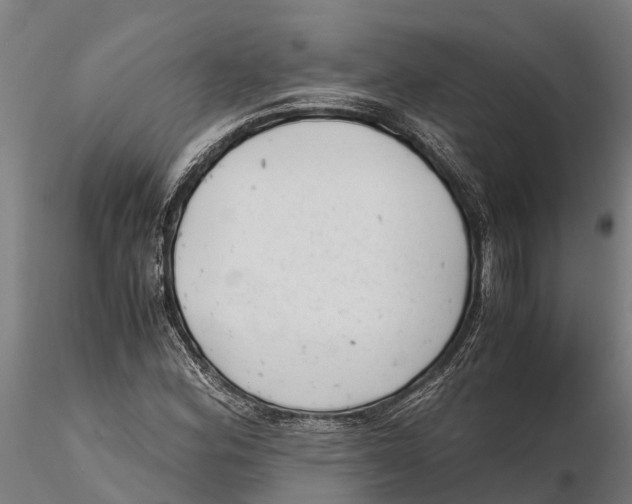 X0000115681164200912031412