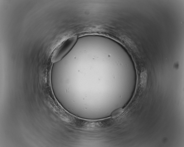 X0000115681165200912031412