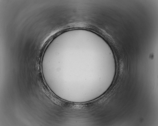 X0000115681166200912031412