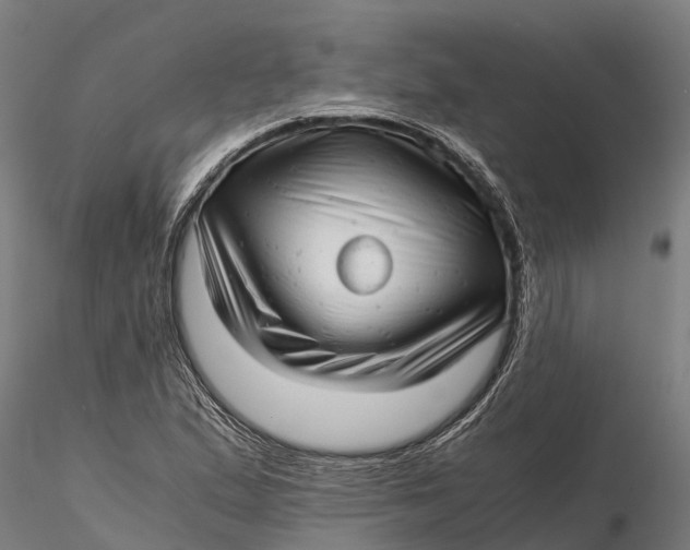 X0000115681167200912031412