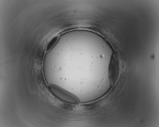 X0000115681169200912031412