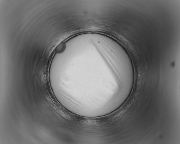 X0000115681170200912031412