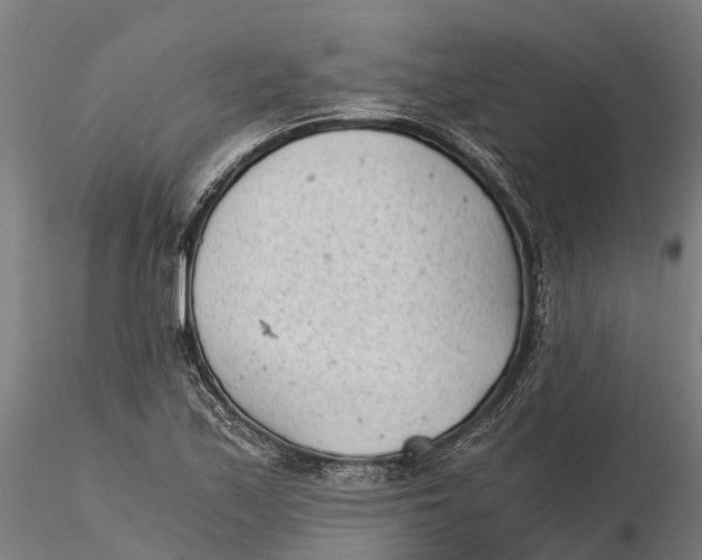 X0000115681171200912031412