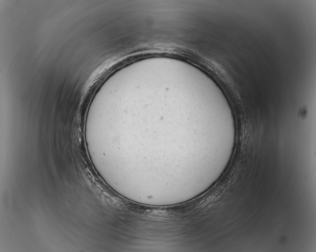 X0000115681172200912031412