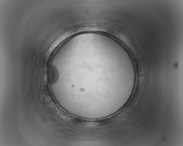 X0000115681173200912031412