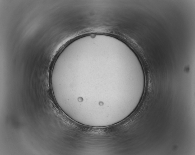 X0000115681174200912031412