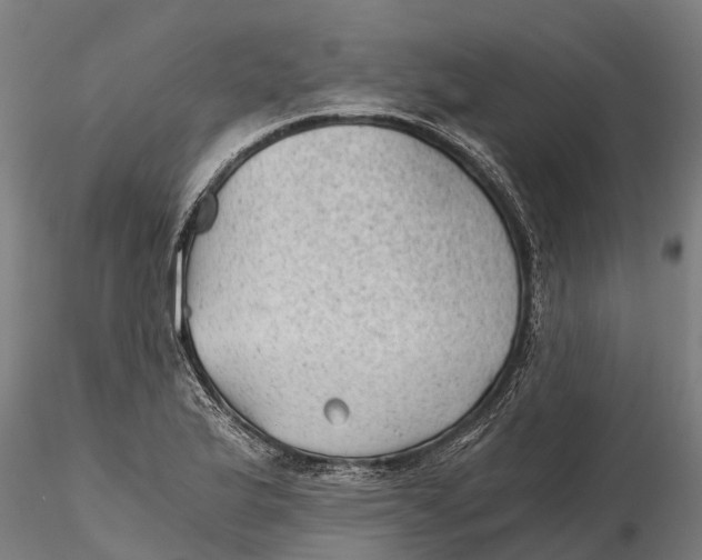 X0000115681175200912031412