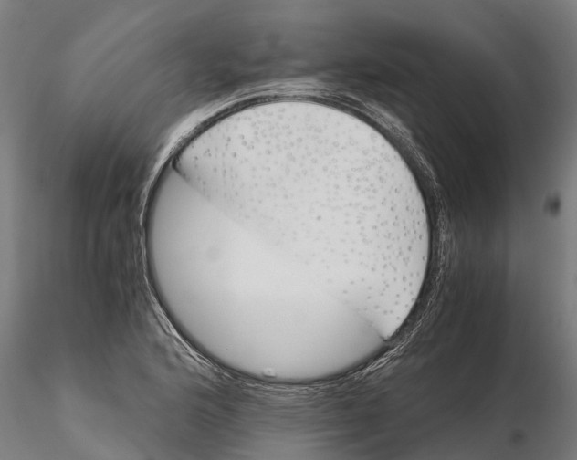 X0000115681176200912031412