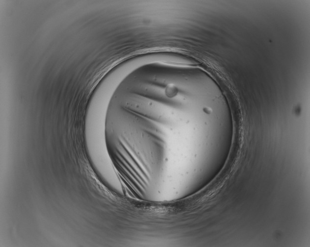 X0000115681177200912031412