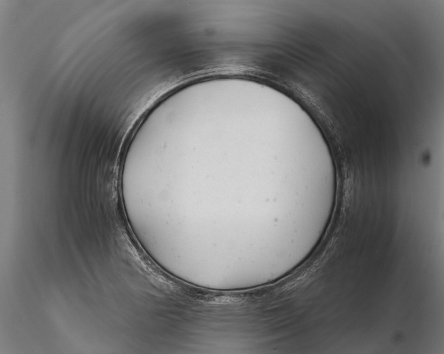 X0000115681178200912031412