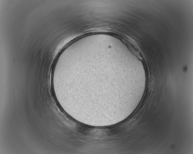 X0000115681179200912031412