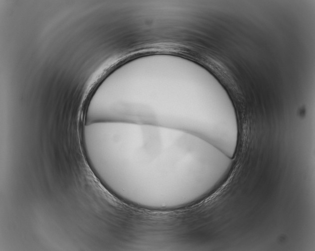 X0000115681180200912031412