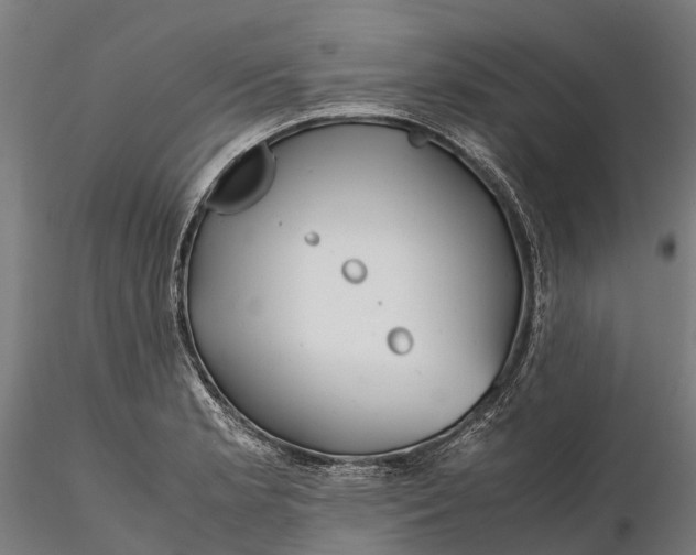 X0000115681181200912031412