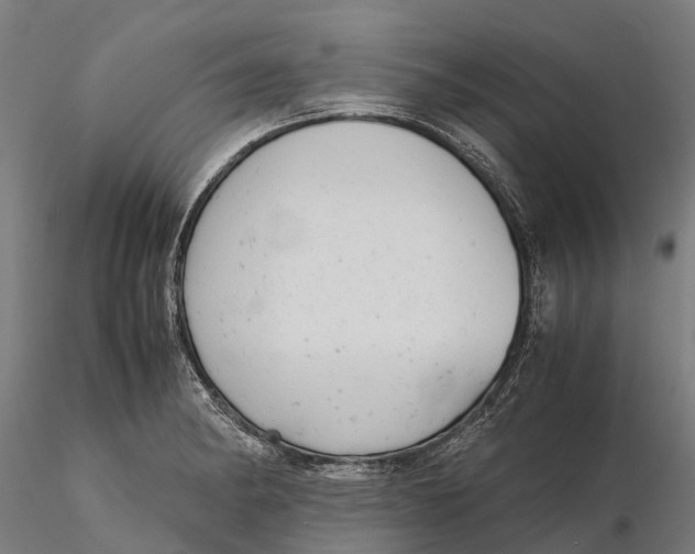 X0000115681182200912031412