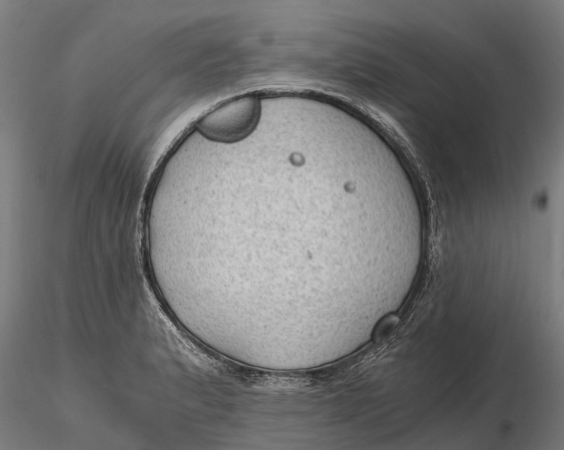 X0000115681183200912031412