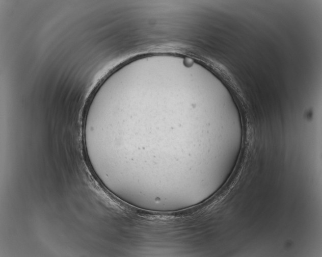 X0000115681184200912031412