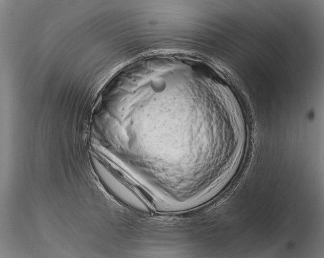 X0000115681185200912031412