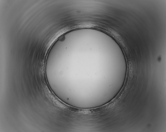 X0000115681186200912031412