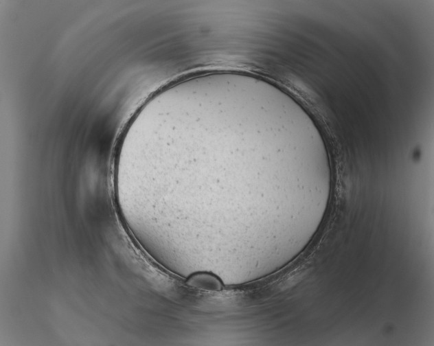 X0000115681188200912031412