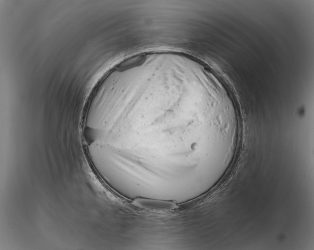 X0000115681189200912031412