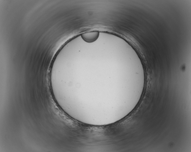 X0000115681190200912031412