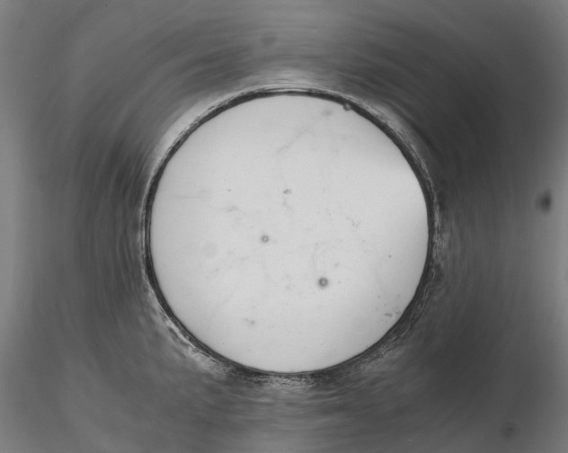 X0000115681191200912031412