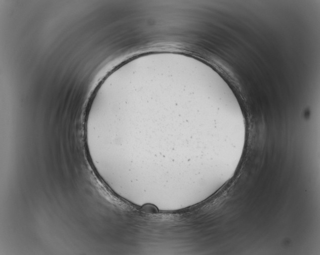 X0000115681192200912031412