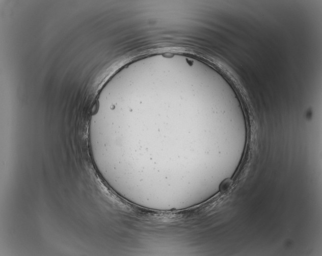 X0000115681193200912031412