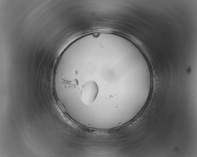 X0000115681194200912031412