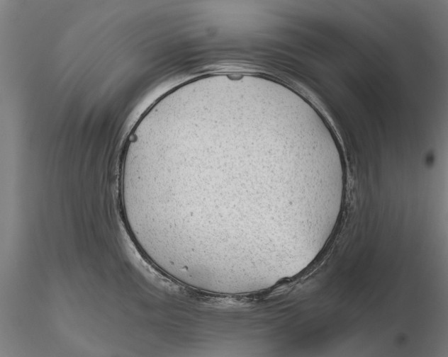 X0000115681195200912031412