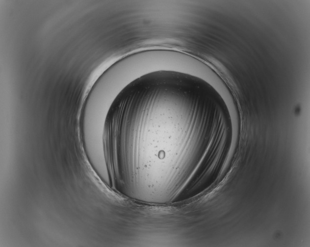 X0000115681196200912031412