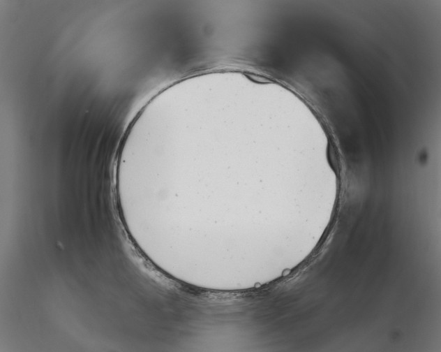 X0000115681198200912031412