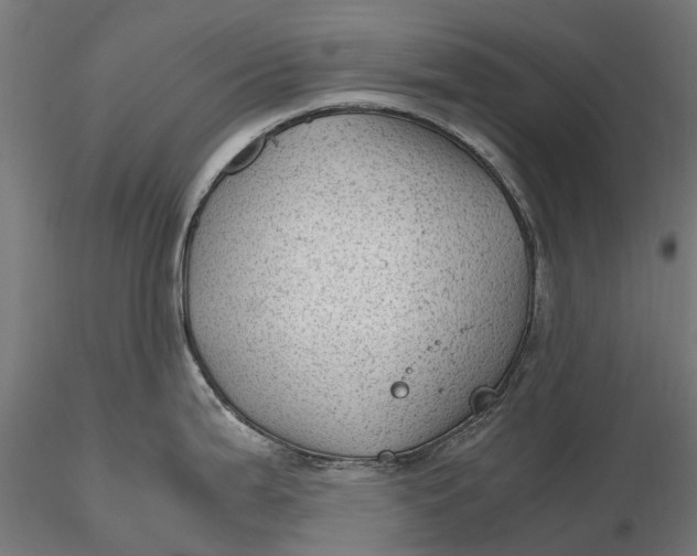 X0000115681199200912031412