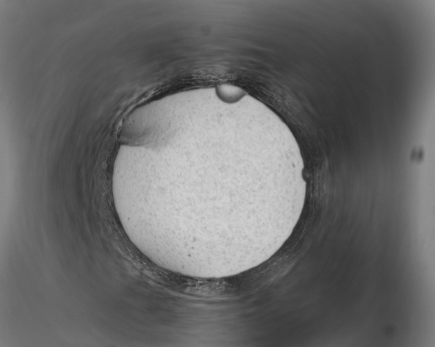 X0000115681201200912031411