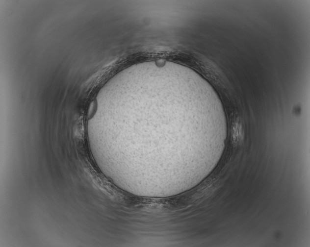 X0000115681204200912031411