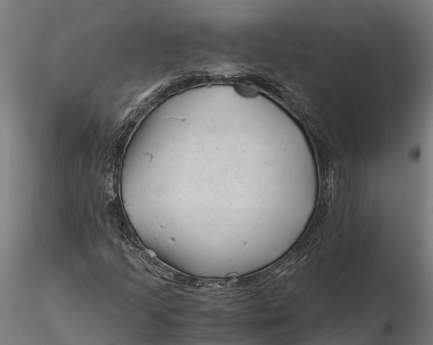 X0000115681205200912031411