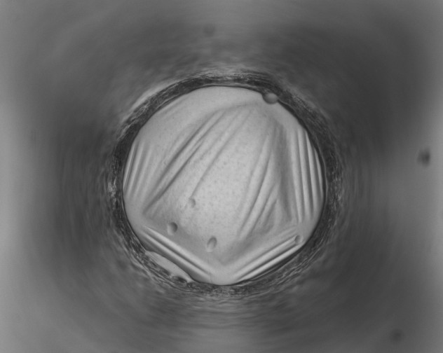 X0000115681206200912031411