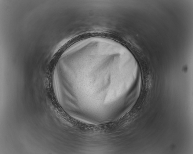 X0000115681208200912031411