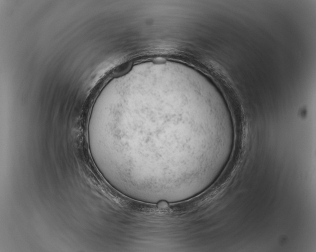 X0000115681210200912031411