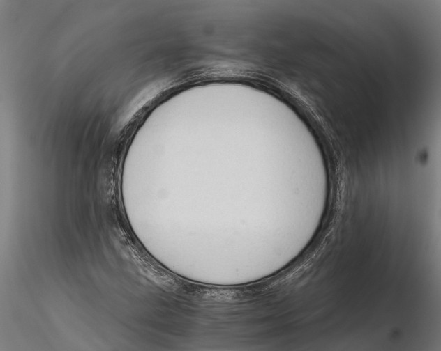 X0000115681211200912031411