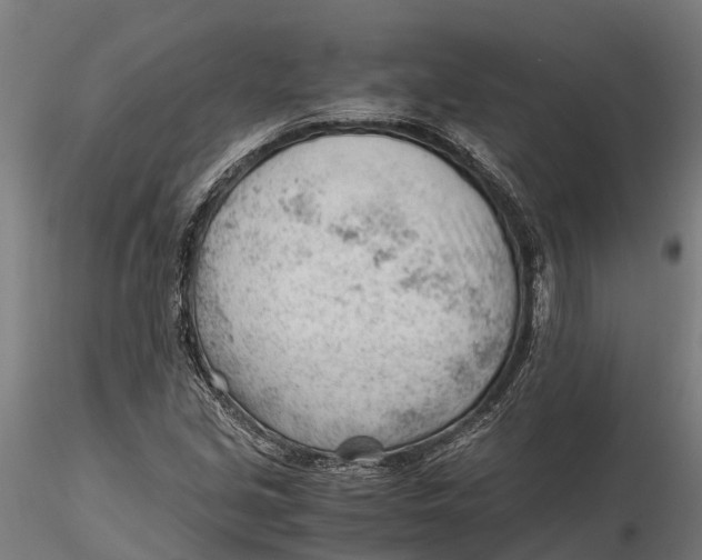 X0000115681213200912031411