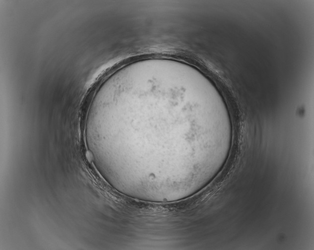 X0000115681214200912031412