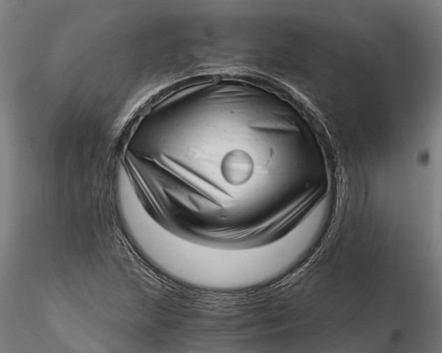 X0000115681215200912031412