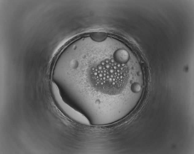 X0000115681216200912031412