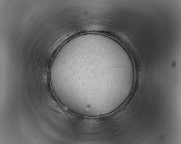 X0000115681217200912031412