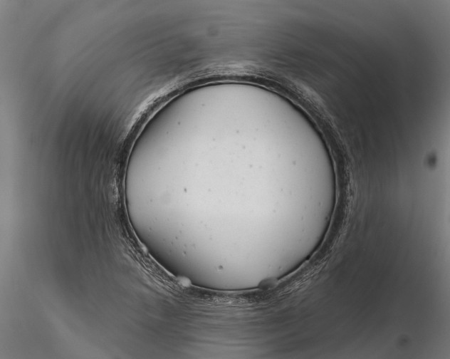 X0000115681218200912031412