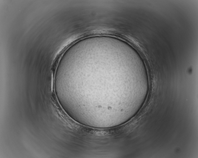 X0000115681219200912031412