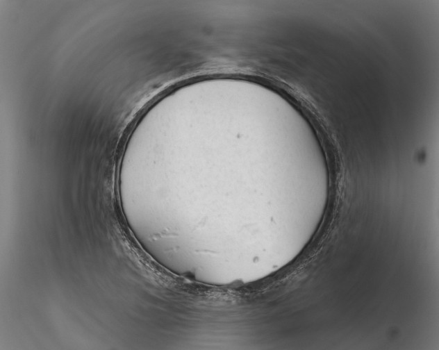 X0000115681220200912031412