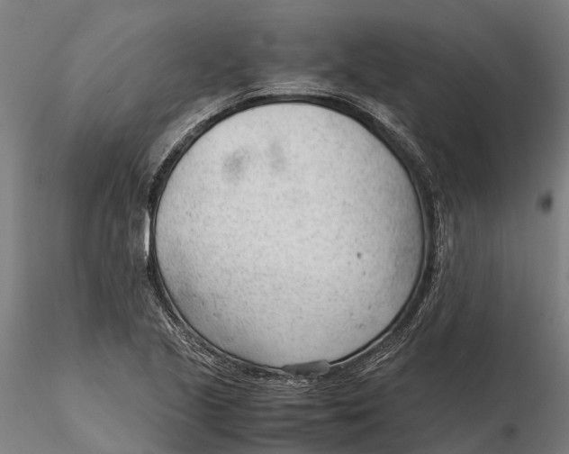 X0000115681221200912031412